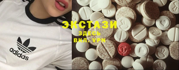 ECSTASY Богородицк